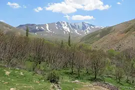 روستا حیدره  قاضی خانی